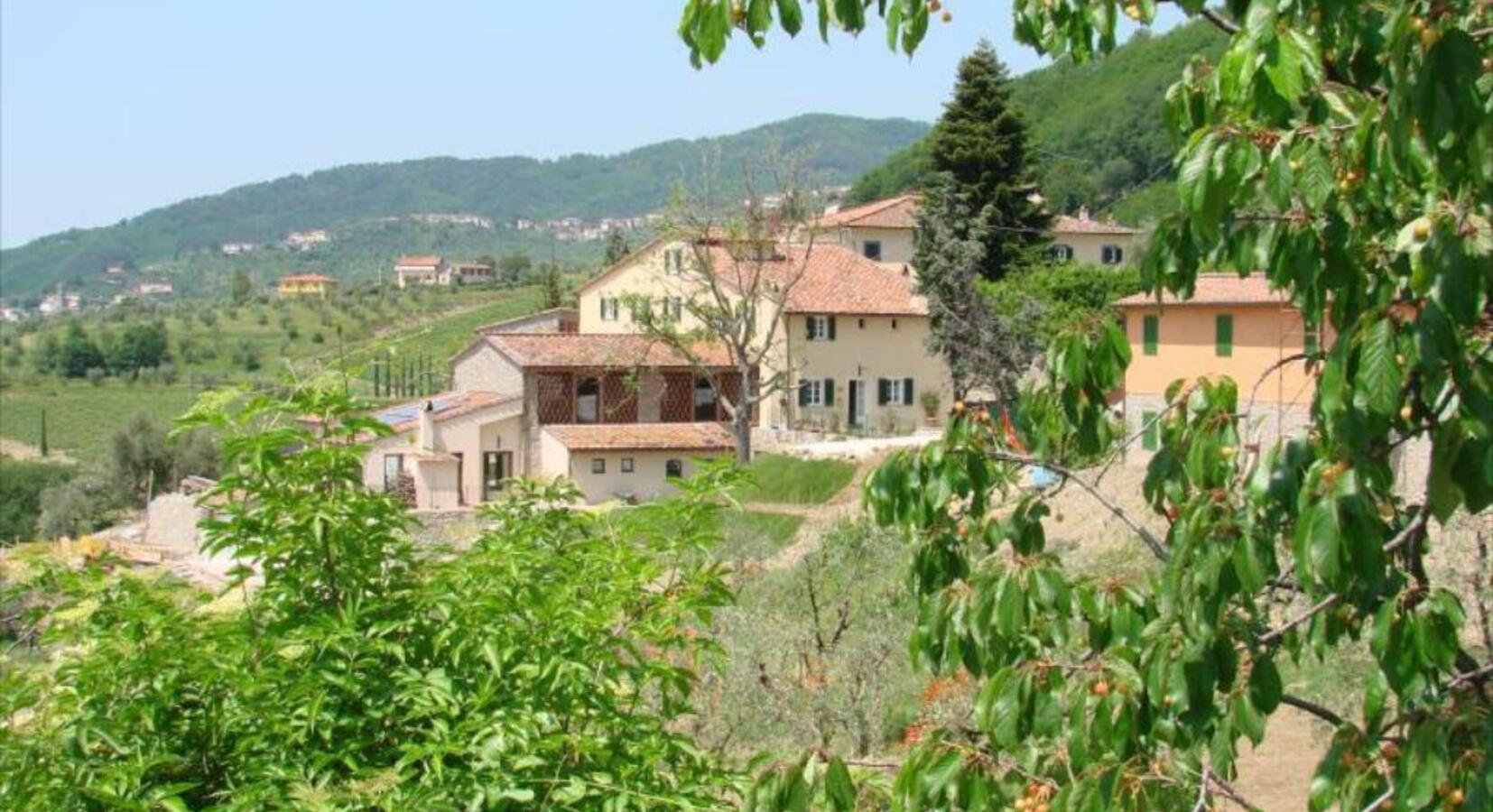 Photo of Tenuta San Pietro