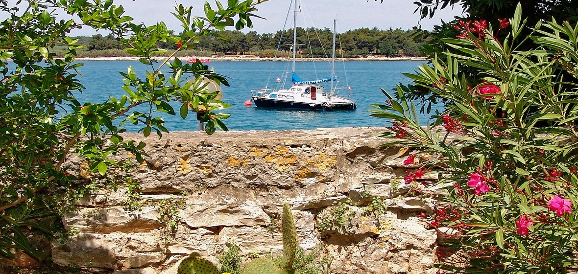 Photo of Novigrad