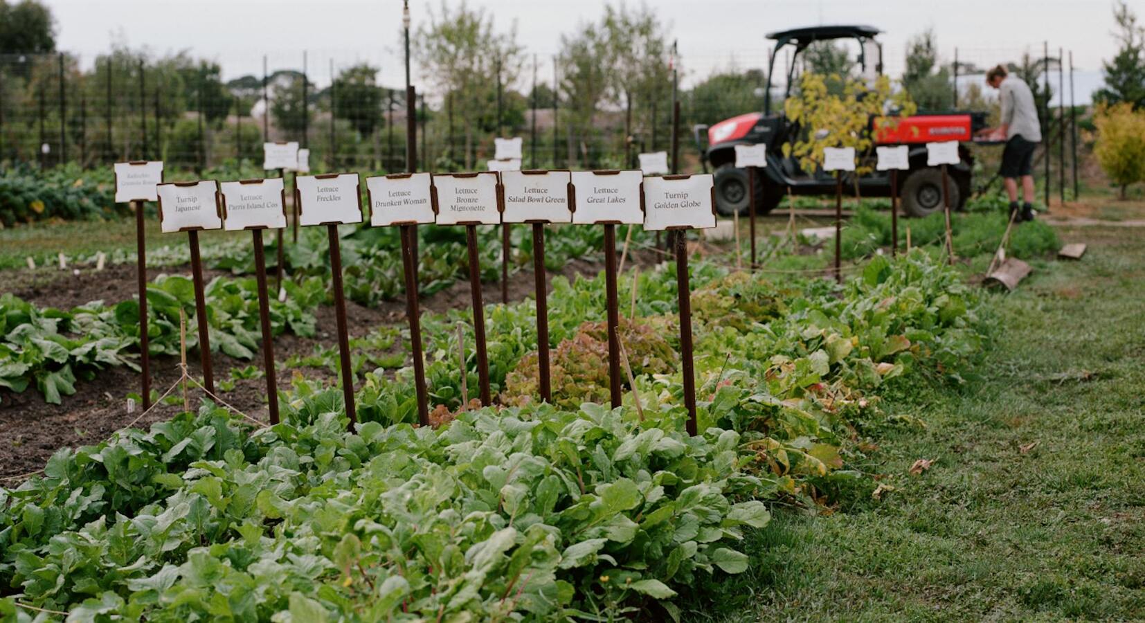 Farm Produce