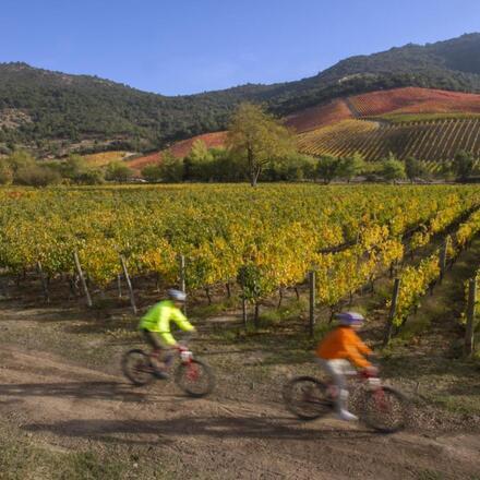 The 8 Best Wine Hotels in the Colchagua Valley