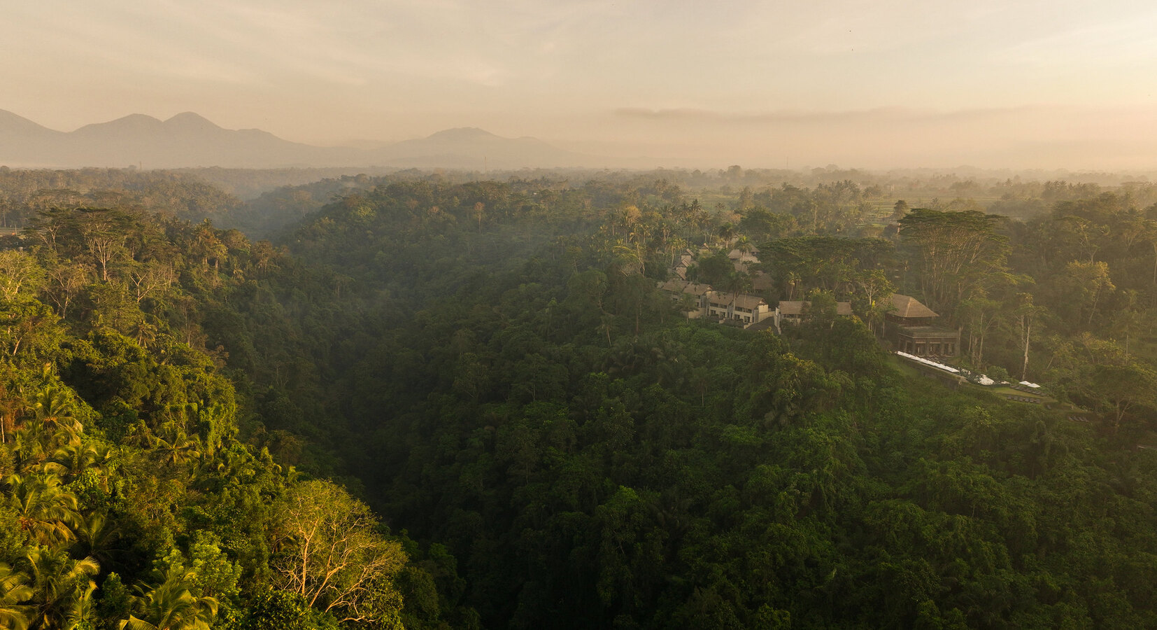 Alila Ubud - Aerial View