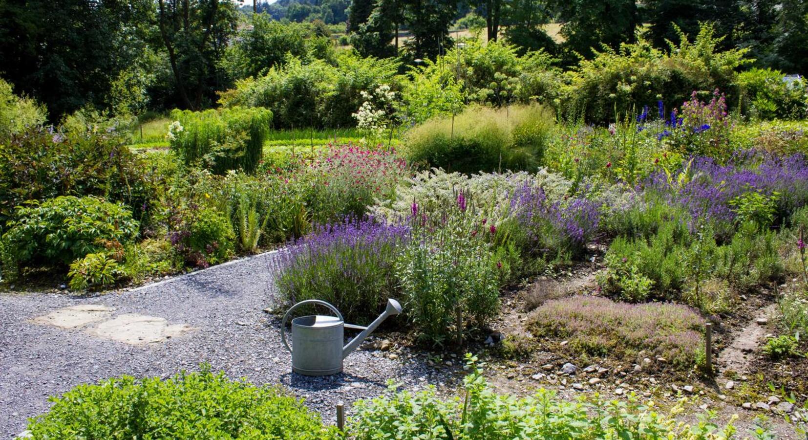 Hotel gardens