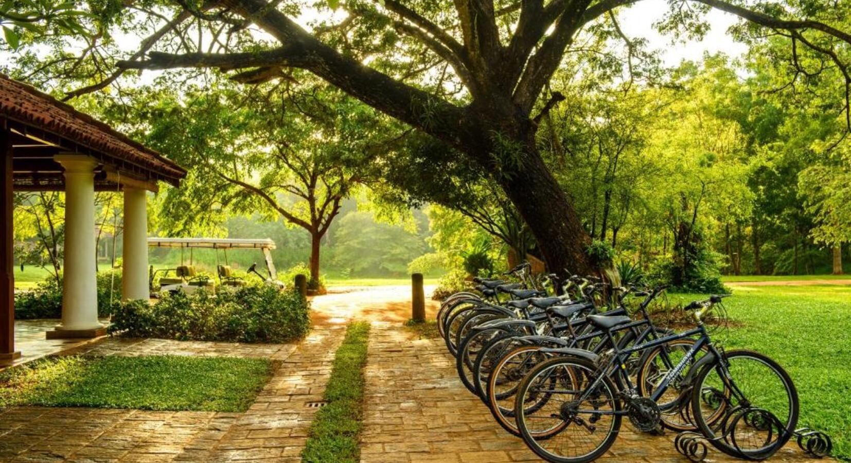 Hotel Bicycles