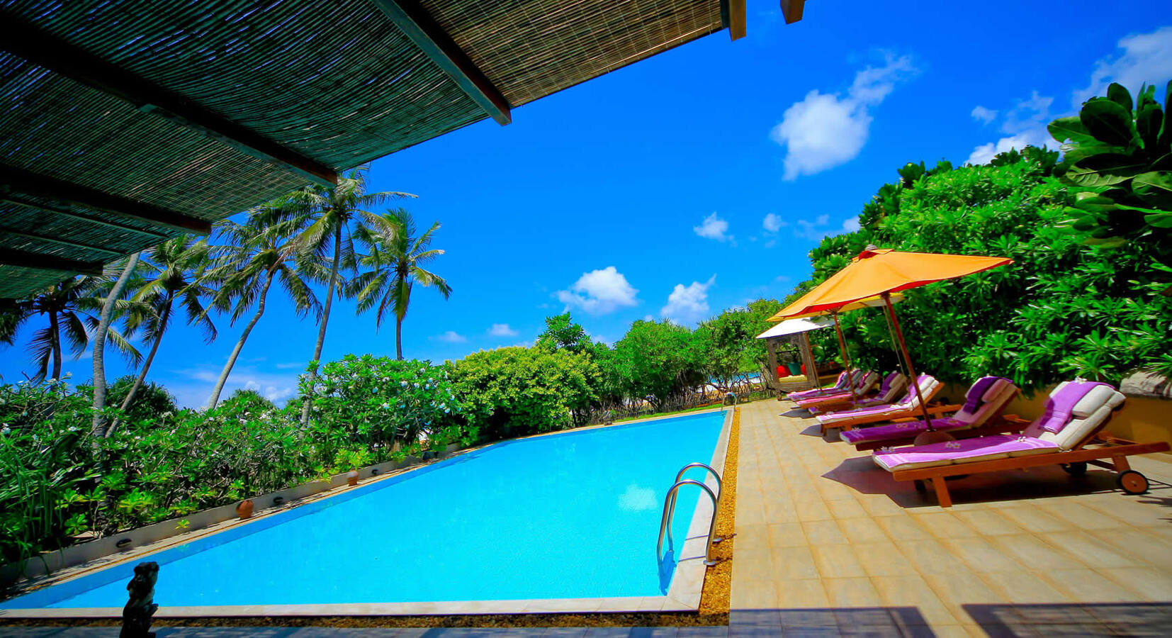 Pool and terrace