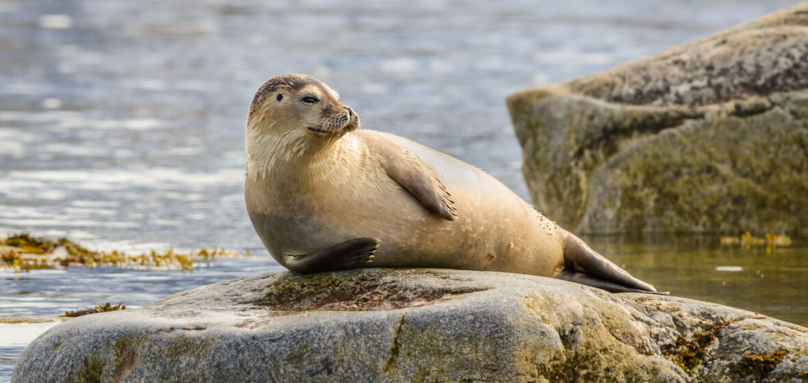 Photo of Svalbard