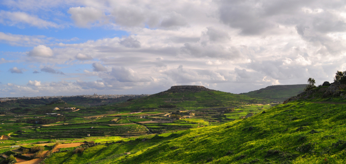 Foto von Zebbug