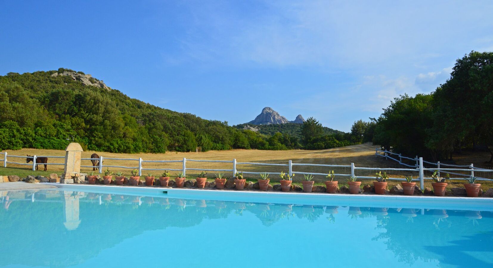 Pool and view