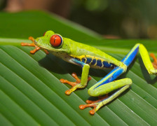 Costa Rica