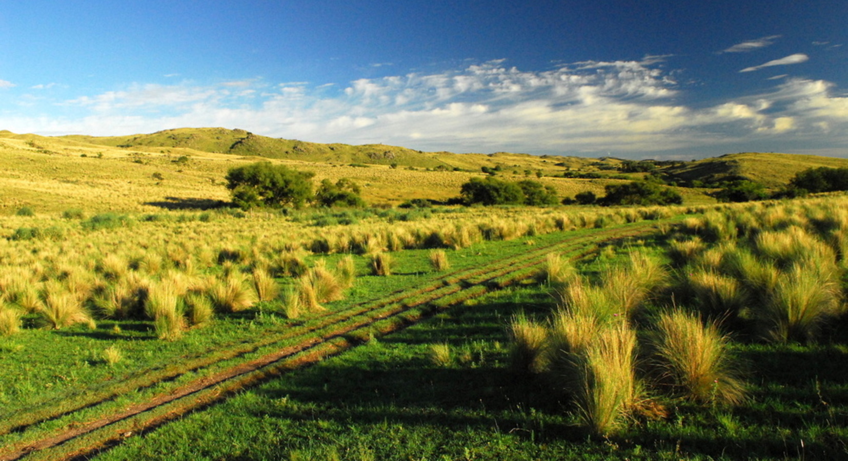 Estancia grounds