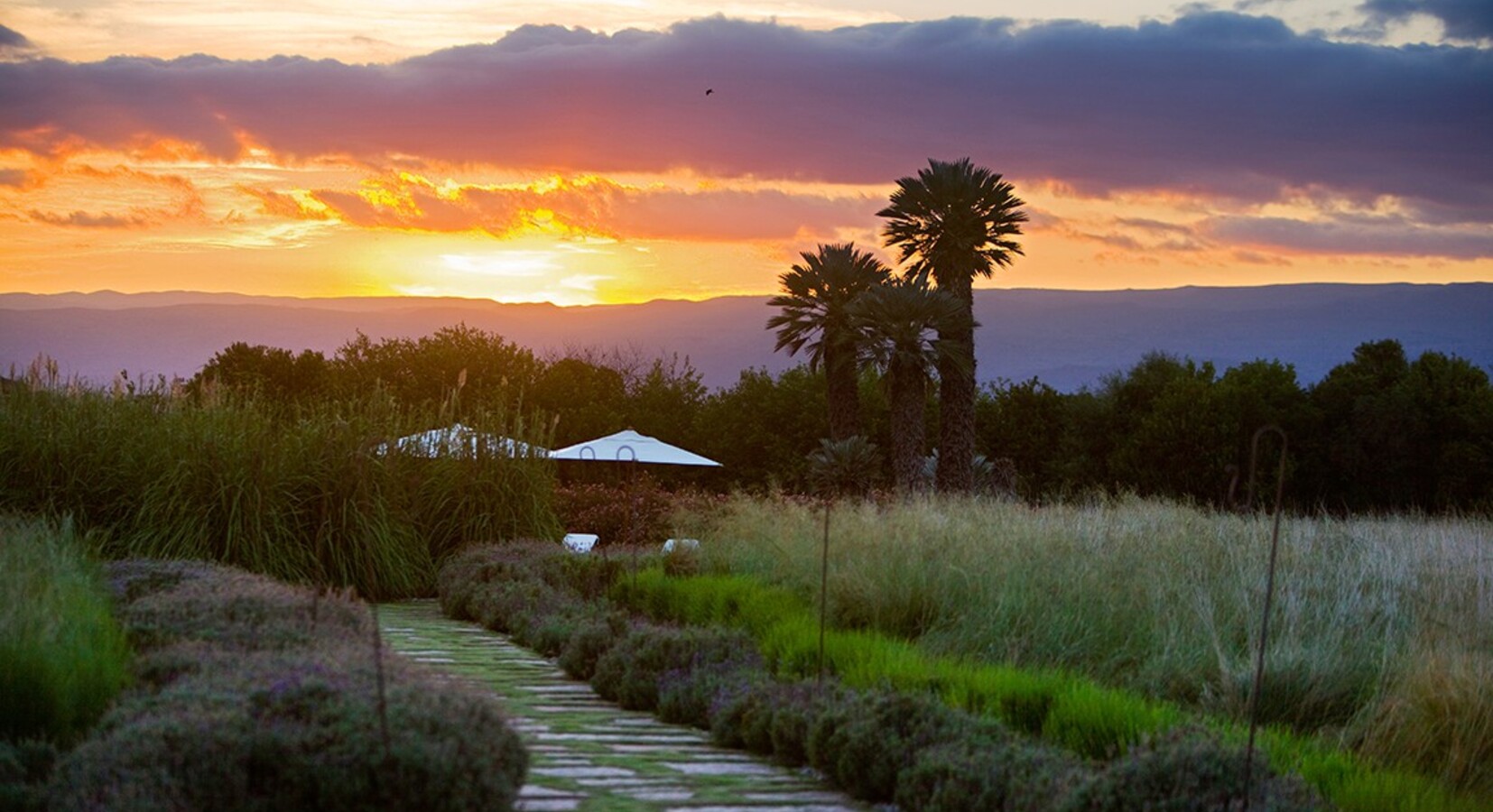 Photo of Estancia El Colibri