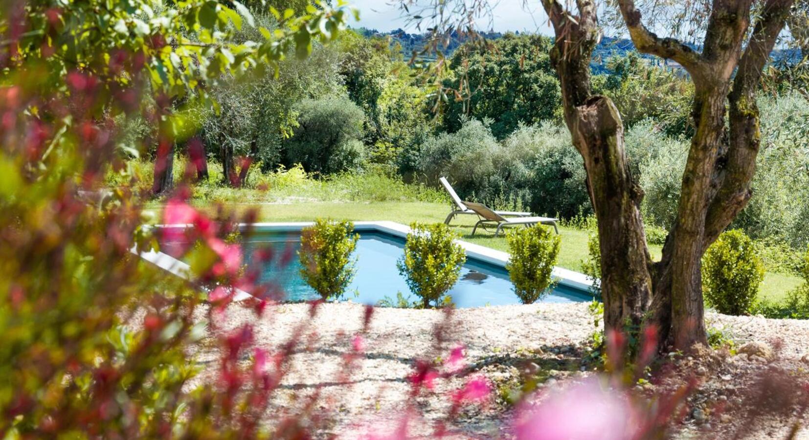 Garden and pool