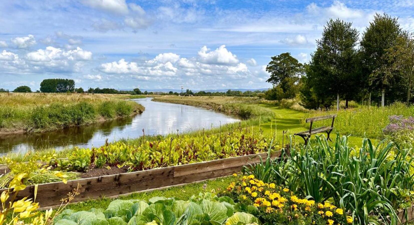 Vegetable Garden