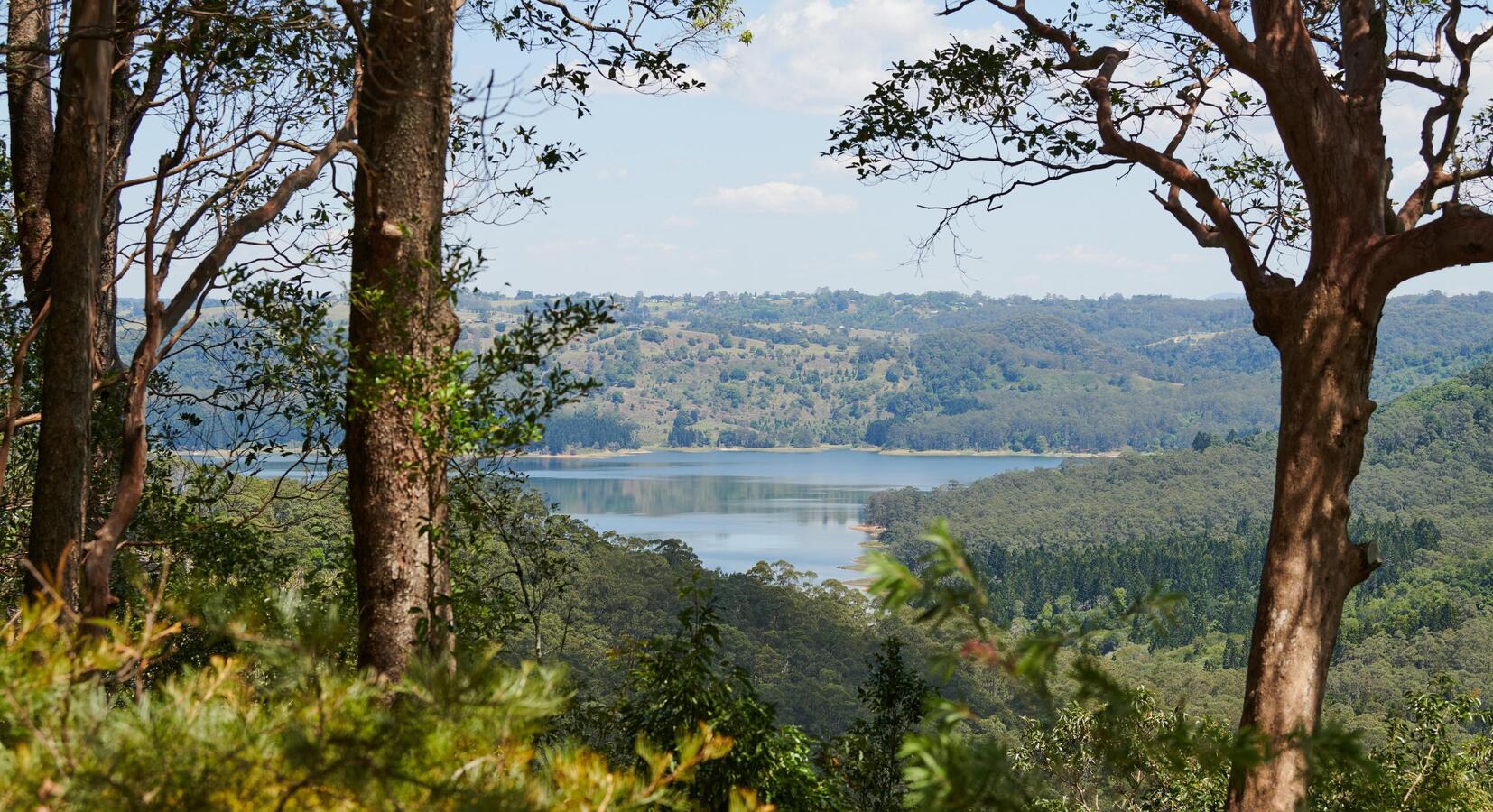 Views to Lake Barron 