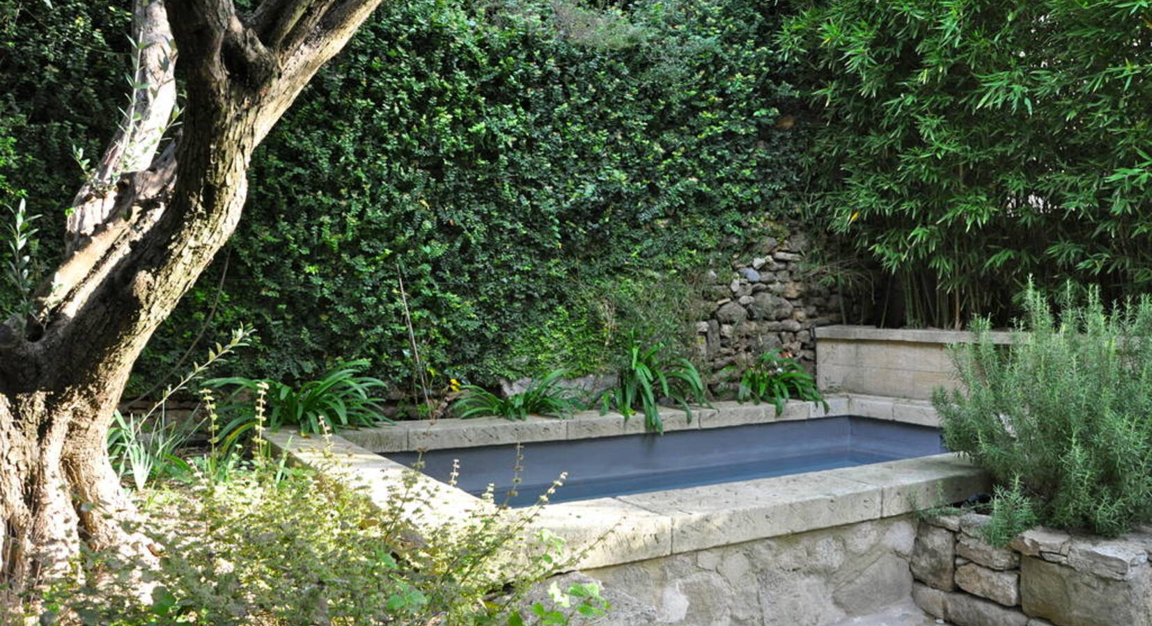 Outdoor plunge pool