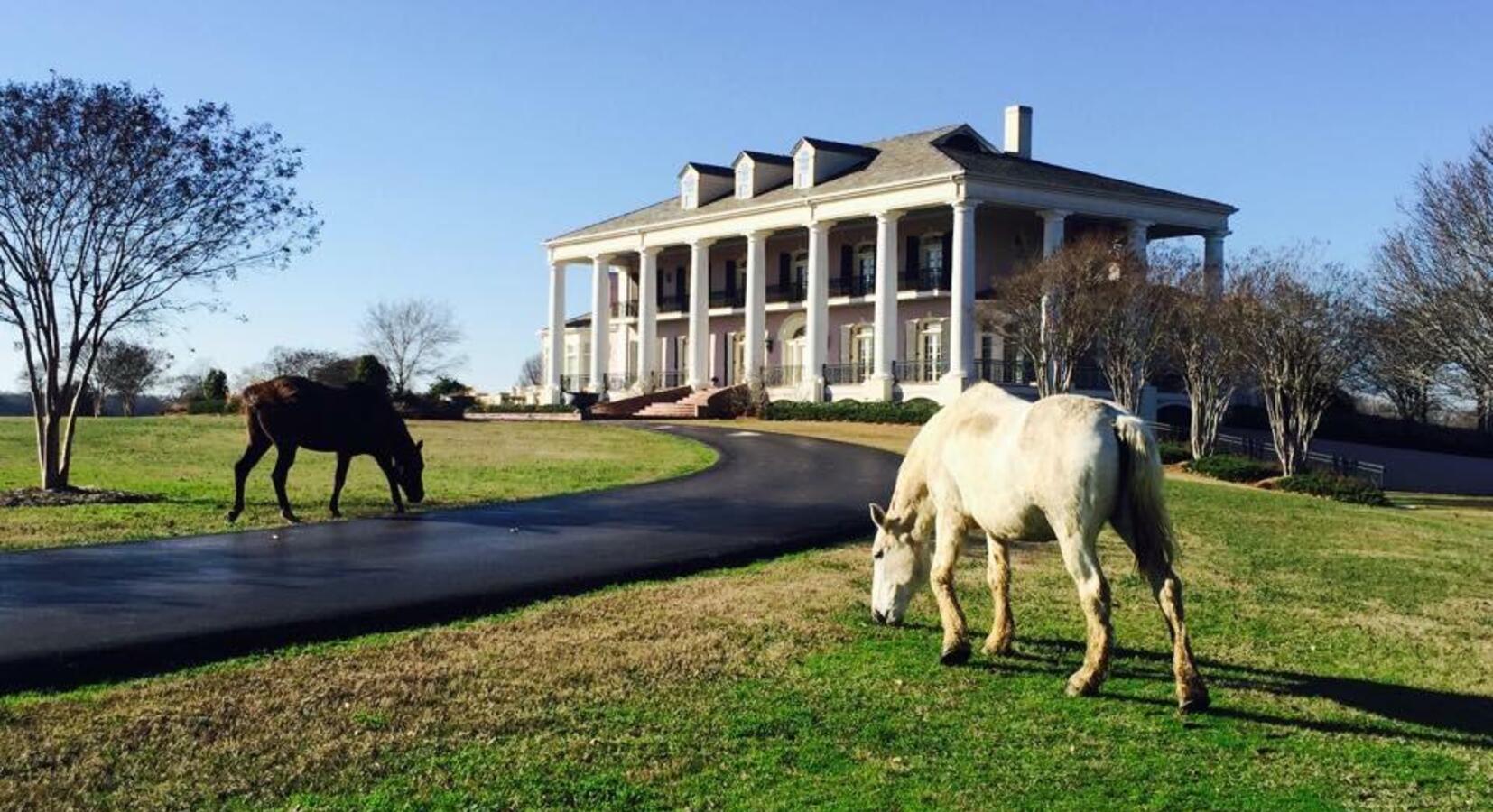 Photo of The Mansion at Red Hill