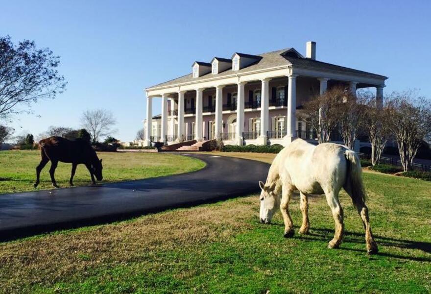 The Mansion at Red Hill