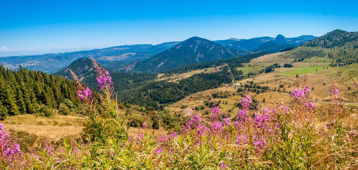 Foto von Haute Loire