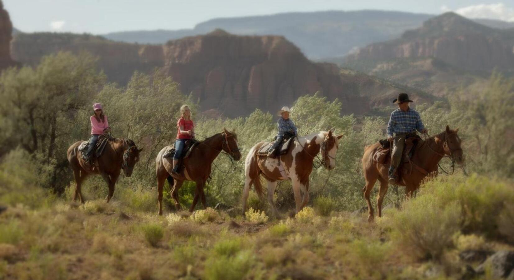 Horse Riding