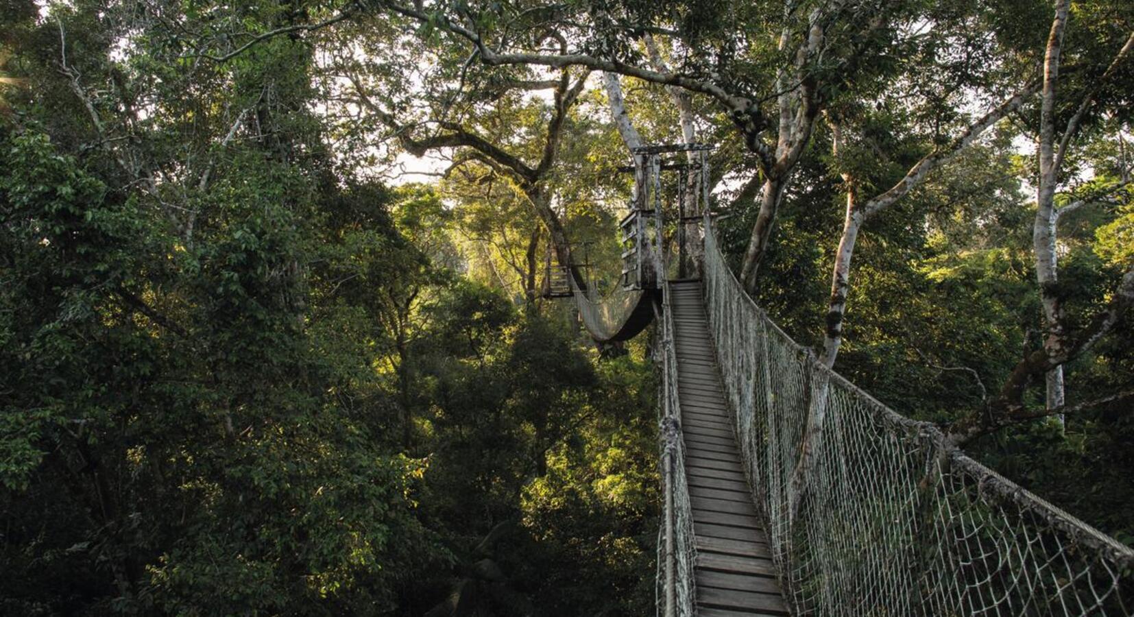 Hotel canopy walkway