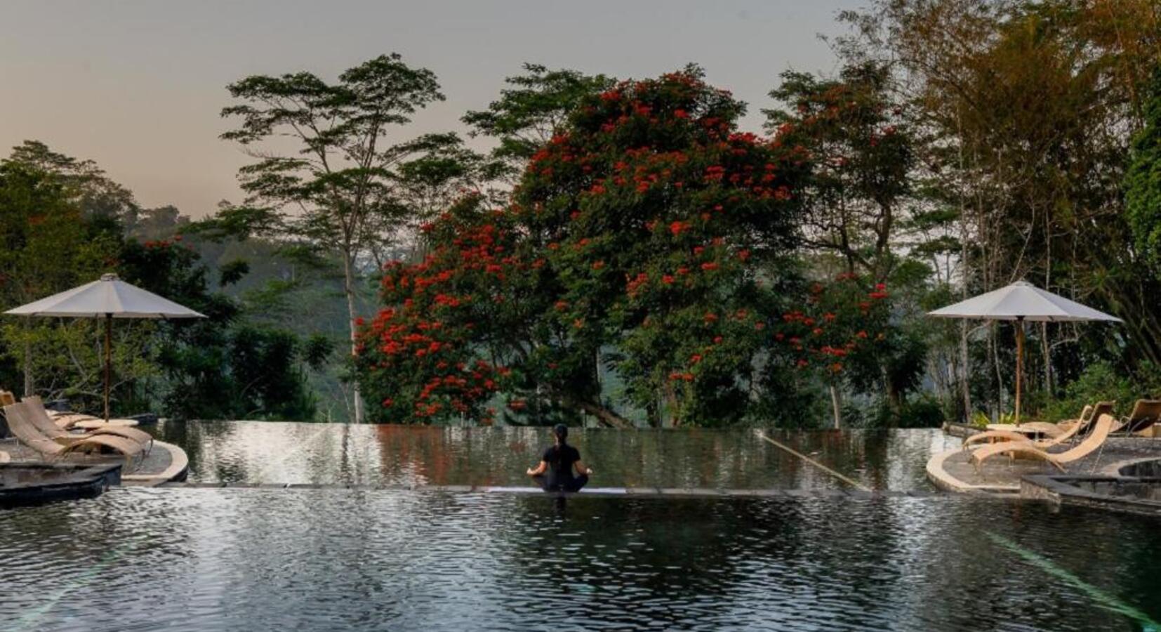 Infinity Pool 