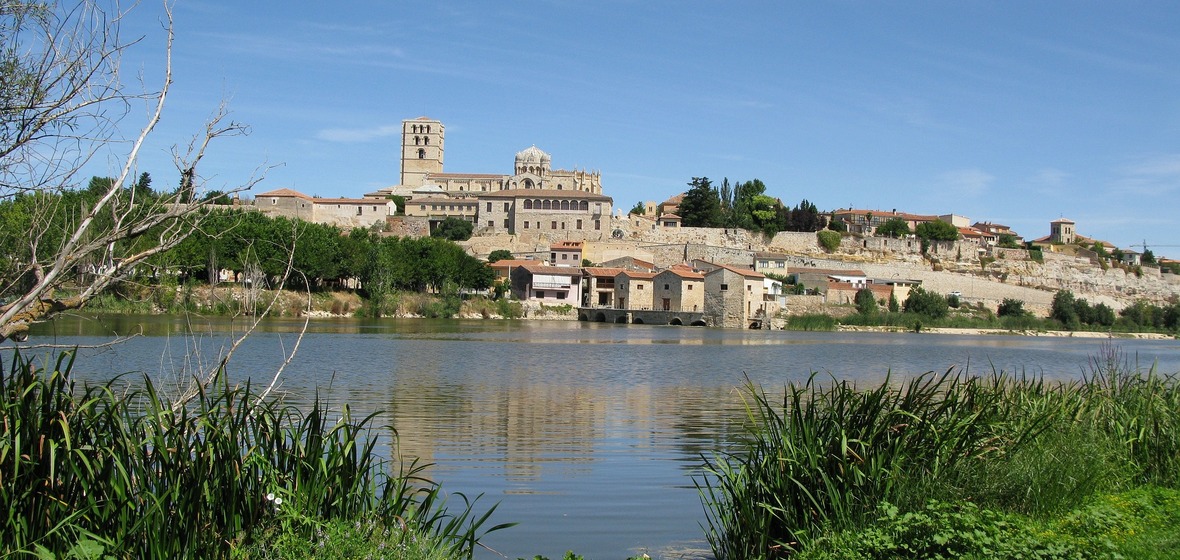 Photo of Zamora