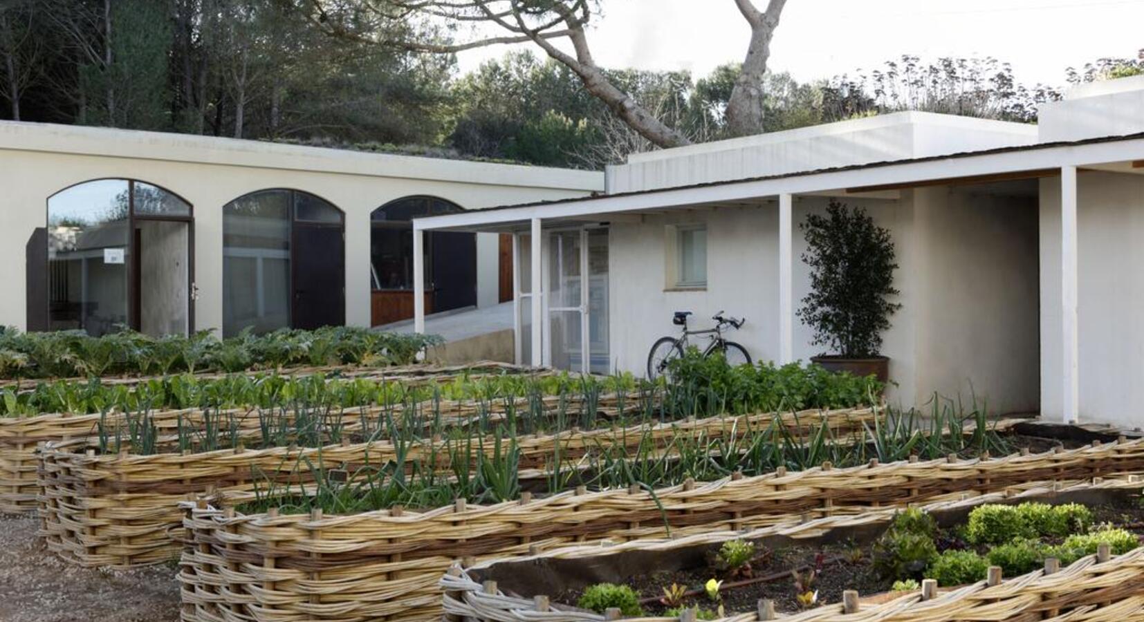 Kitchen Garden