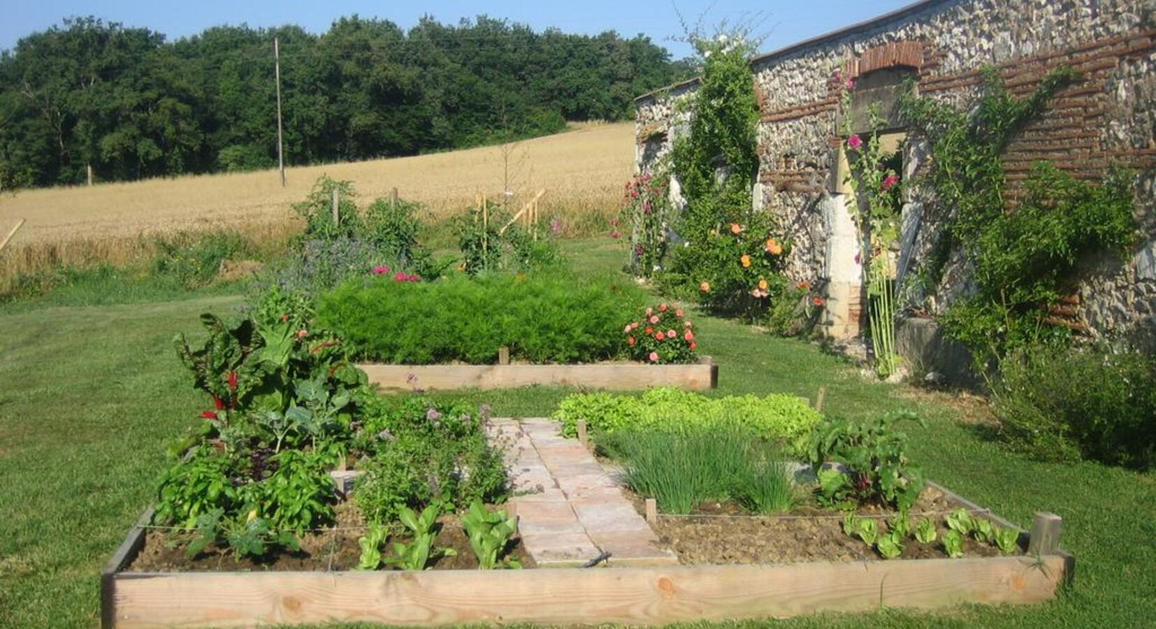 Vegetable garden