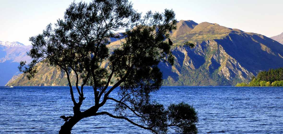 Foto von Wanaka