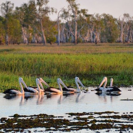 The Best Hotels for Kakadu National Park, Northern Territory