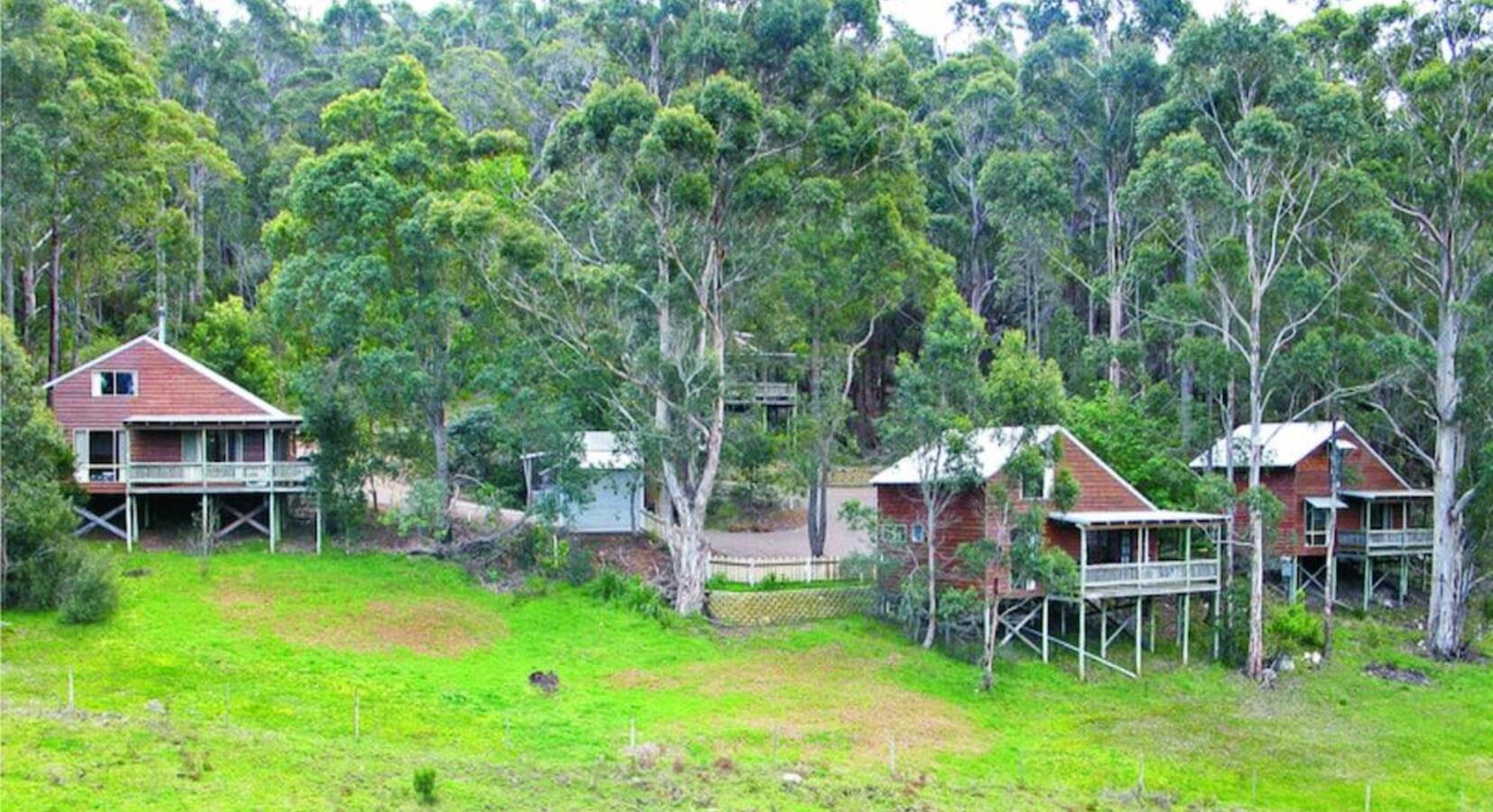 Chalets in the Forest 