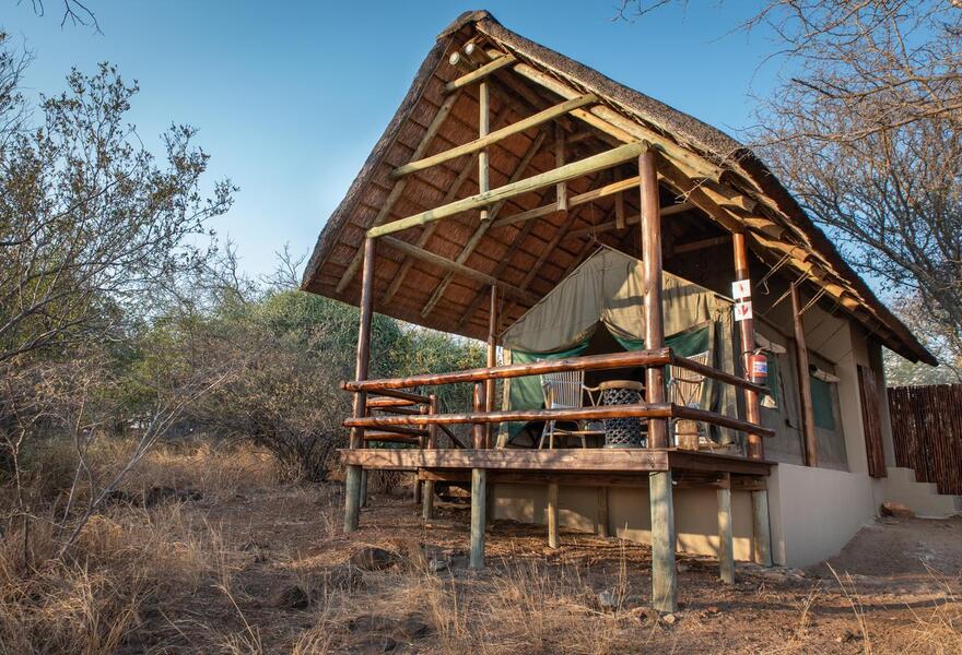 Sausage Tree Safari Lodge