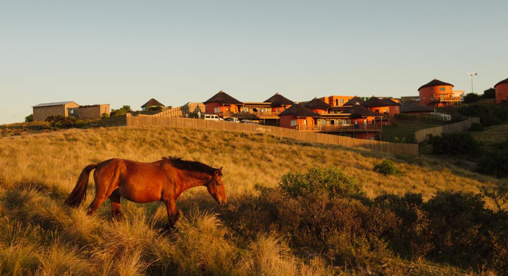 Photo of Swell Eco Lodge