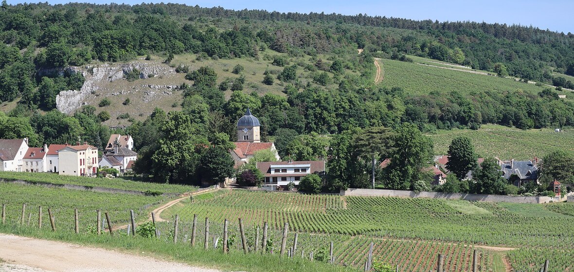 Foto von Chambolle-Musigny