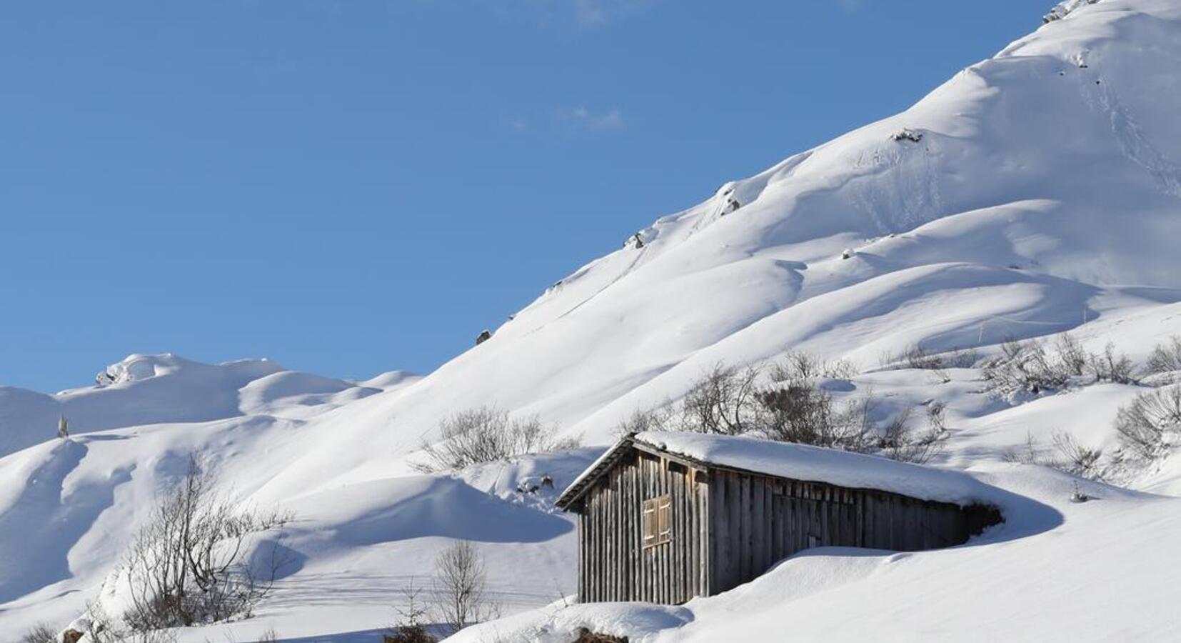 Winter scene