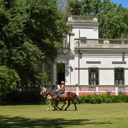 Horseriding excursion