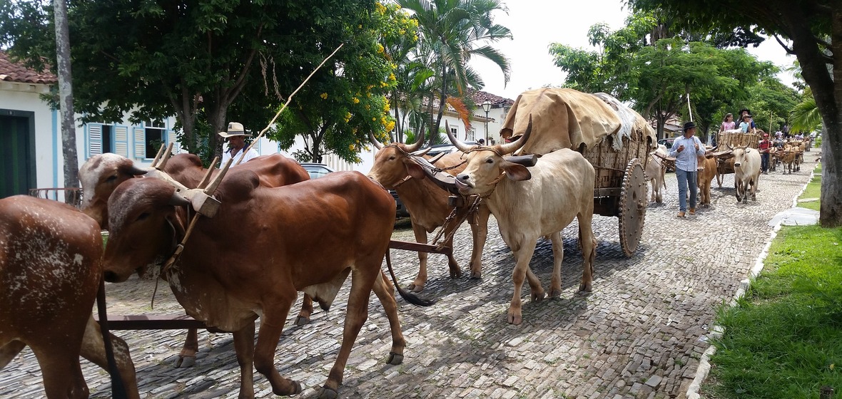 Photo of Pirenopolis