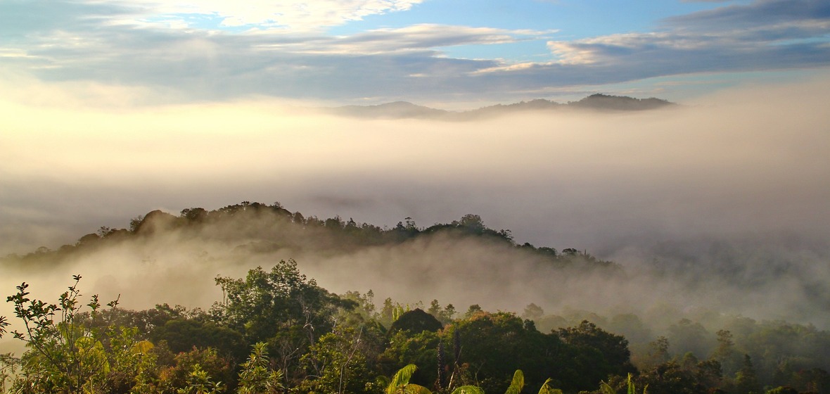 Foto von Borneo