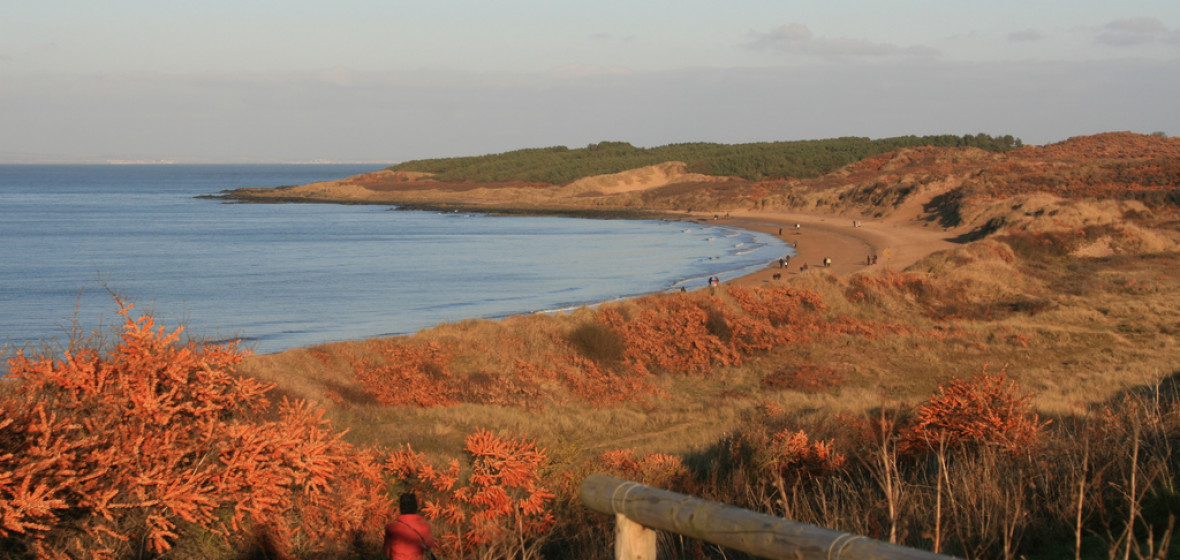 Photo of Gullane