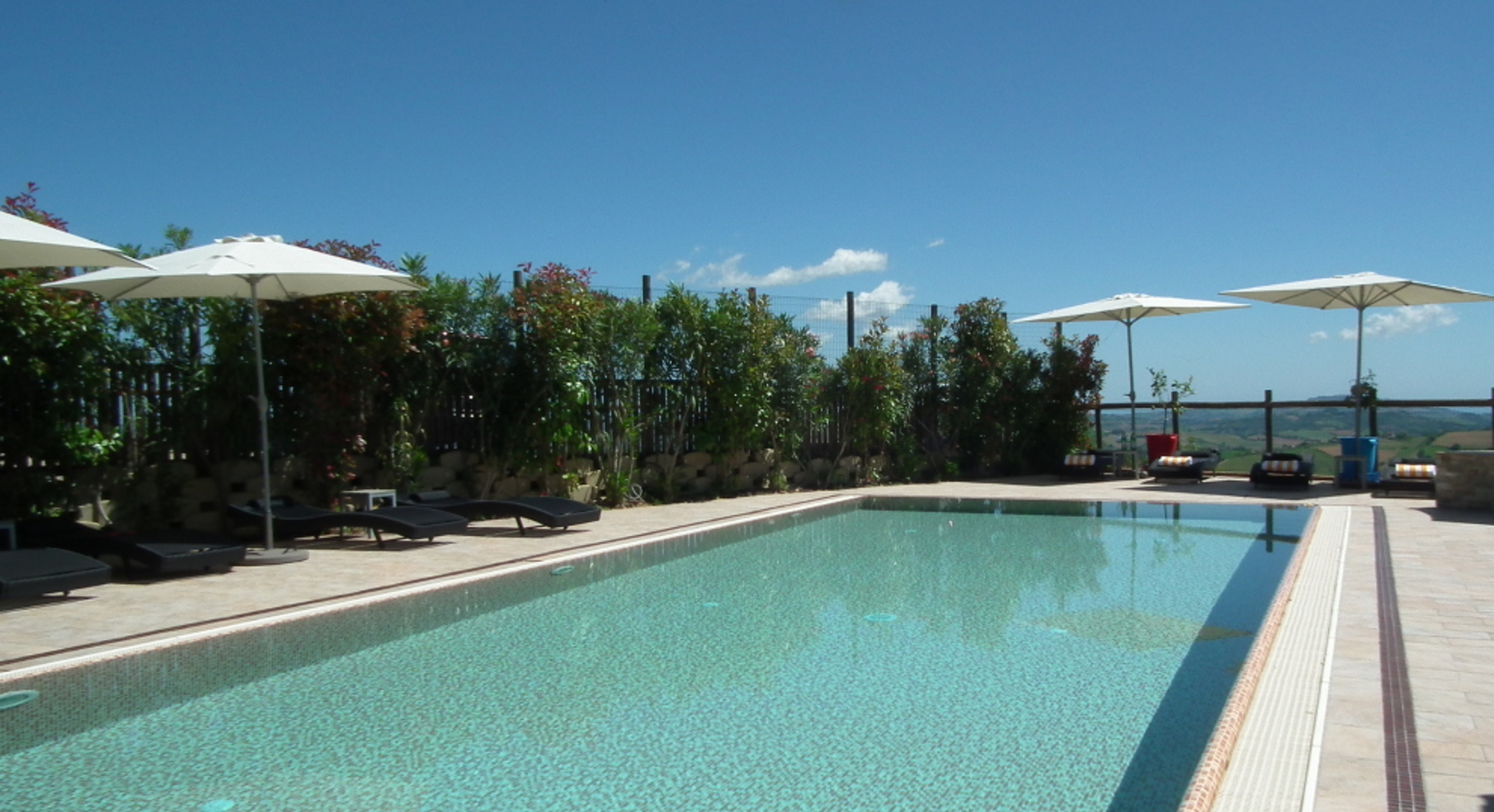 Pool with a view