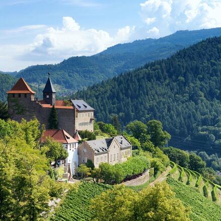 Black Forest scenery