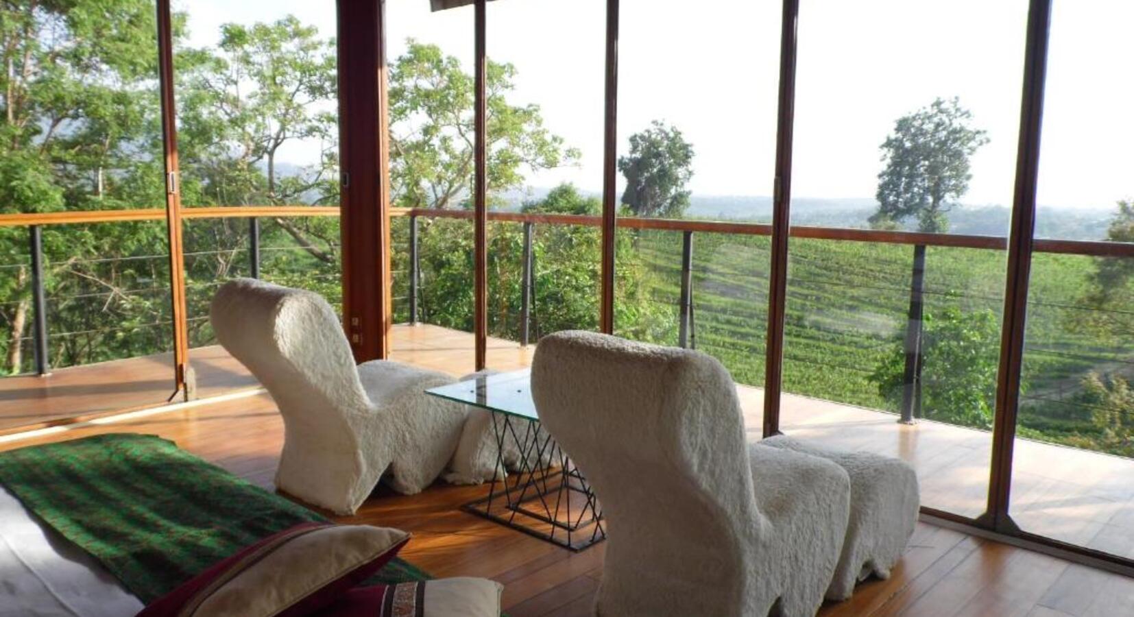 Chairs with Vineyard Views