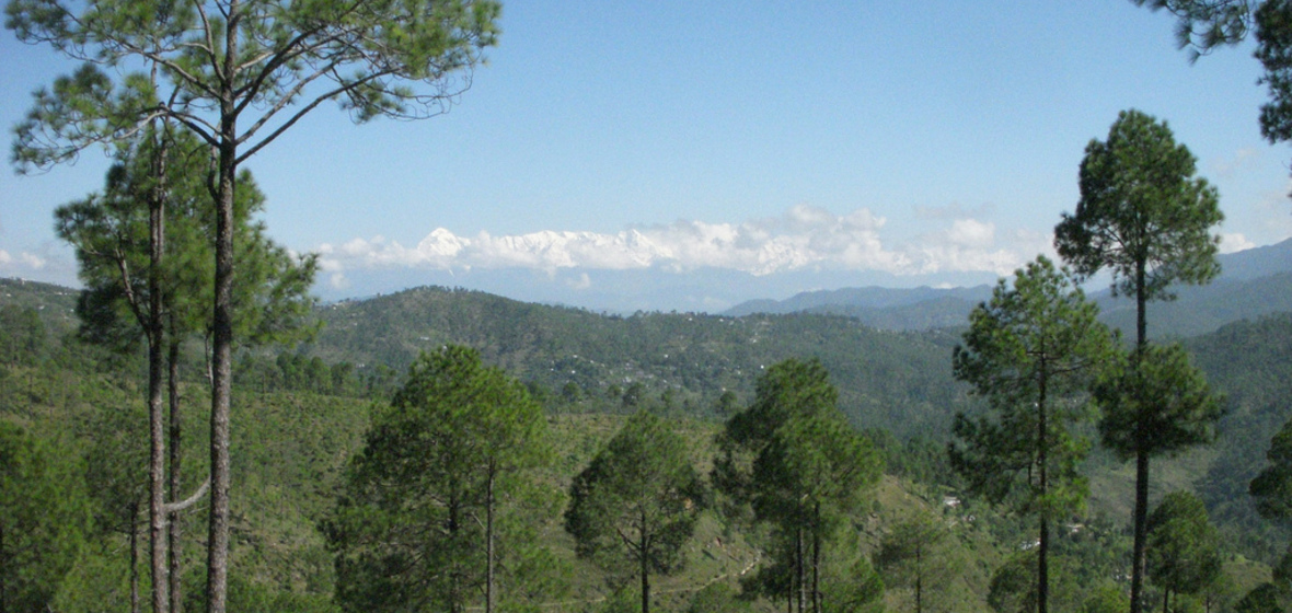 Photo de Almora