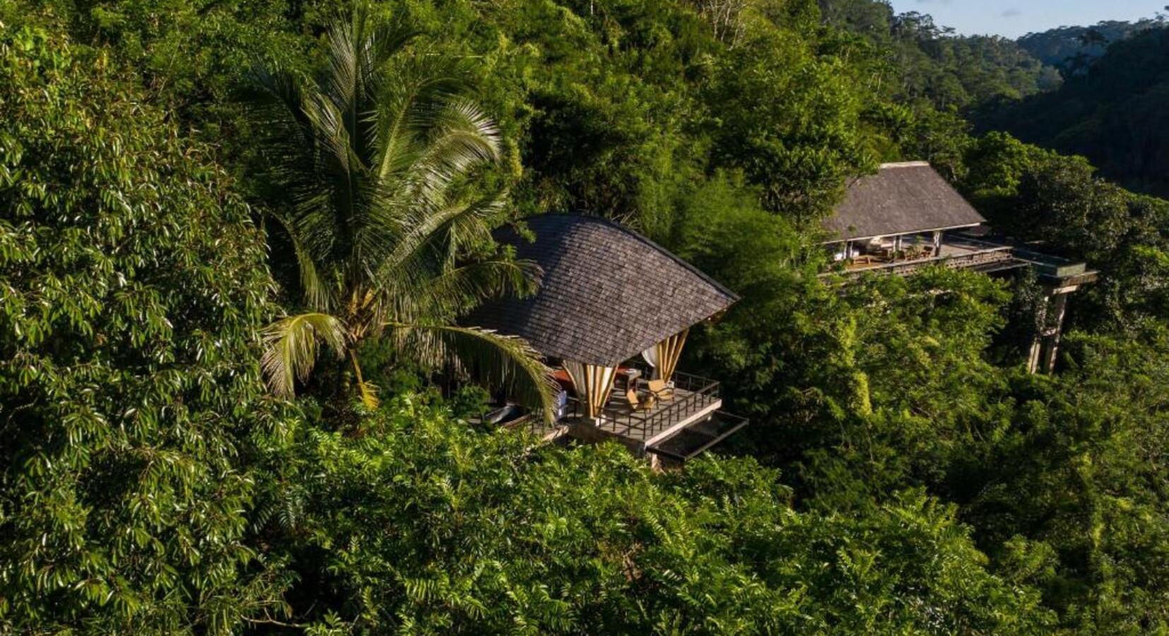 Jungle Hideaways