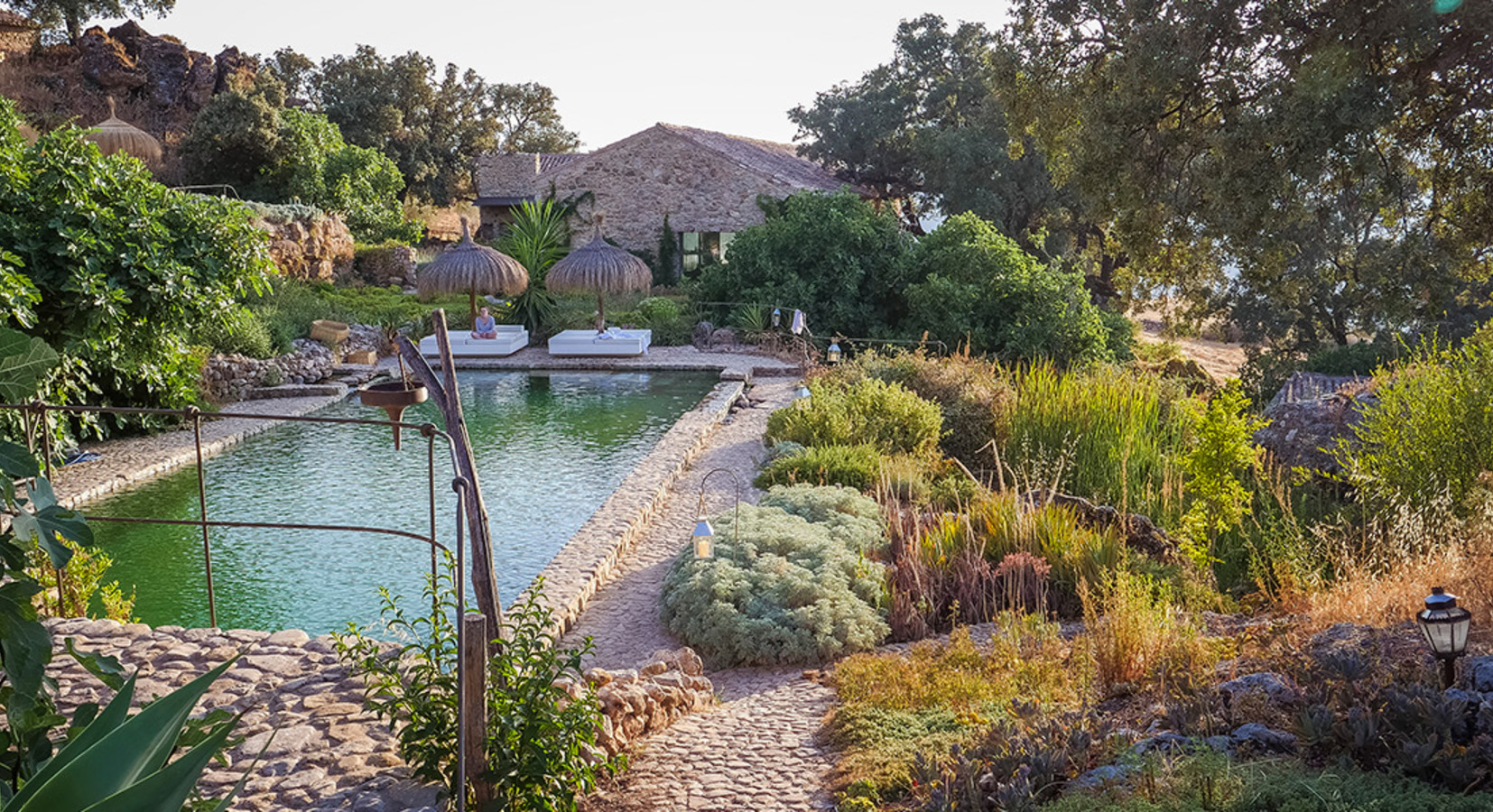 Garden and pool