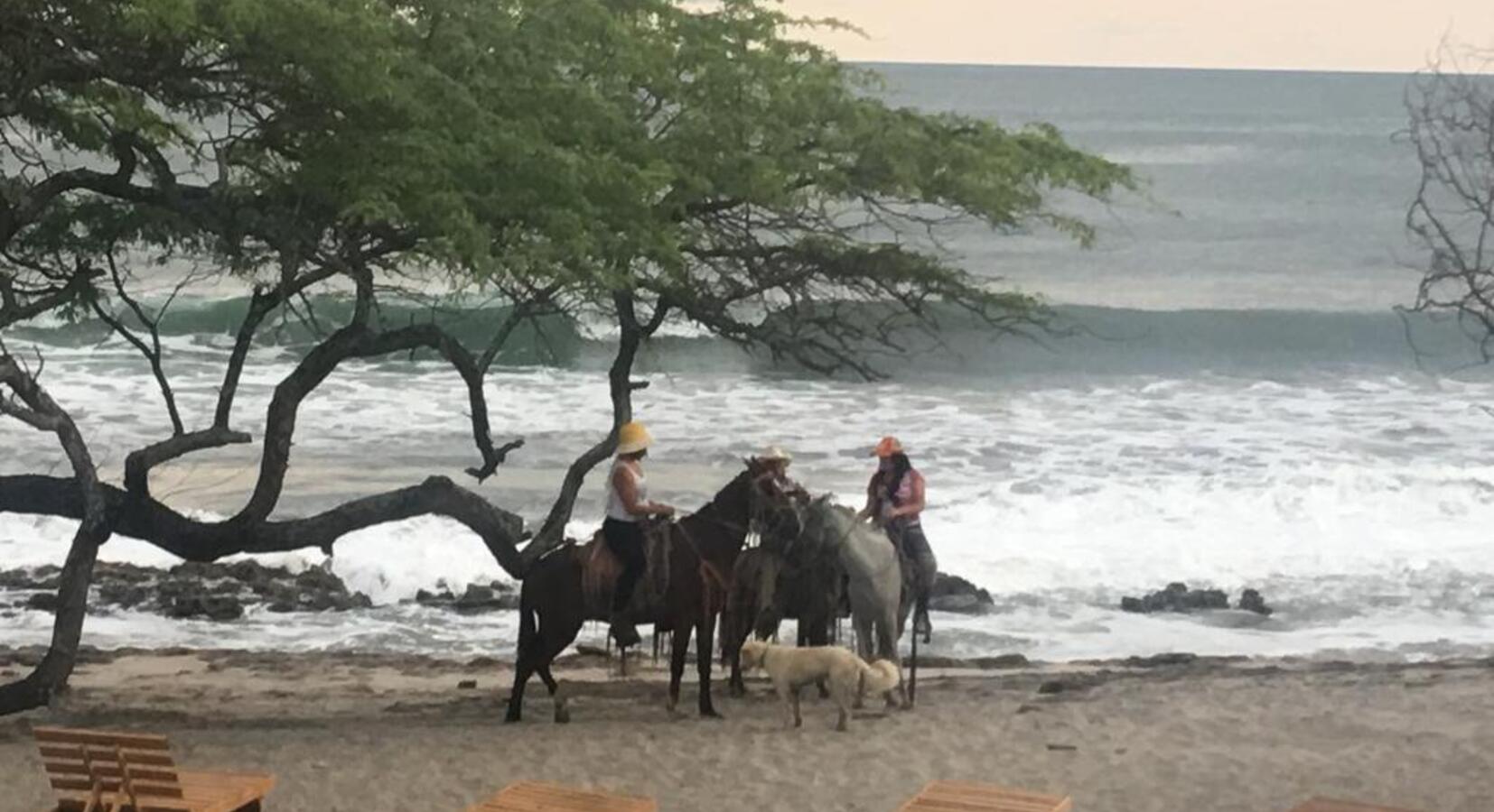 Horse Riding on the Beach