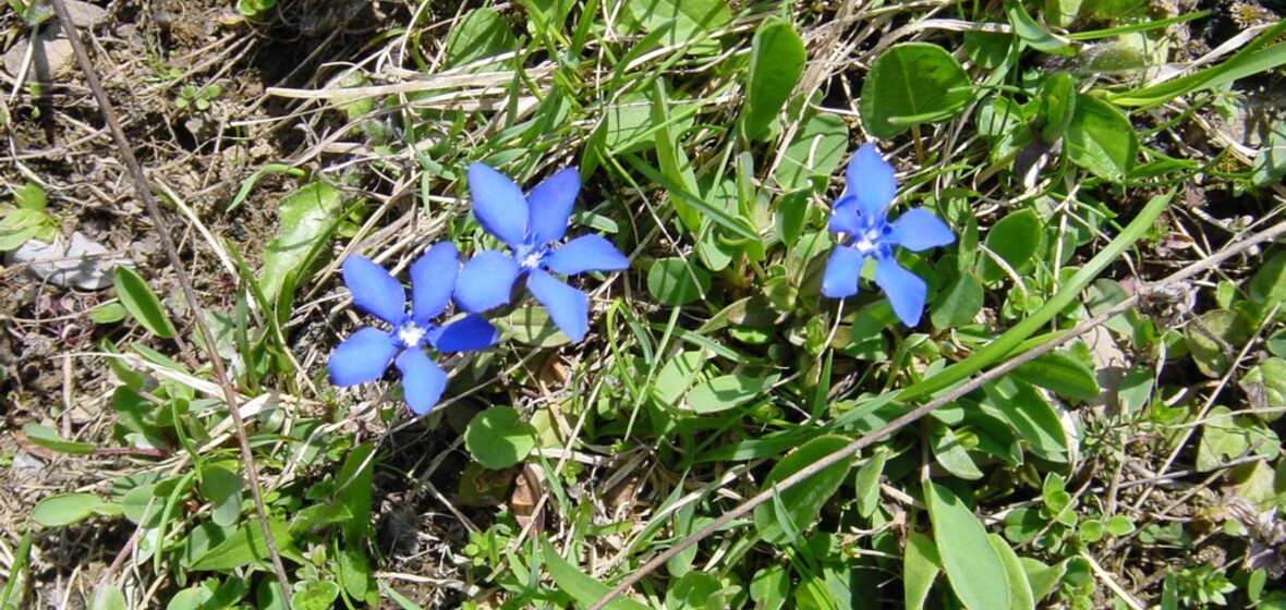 Photo of Kandersteg