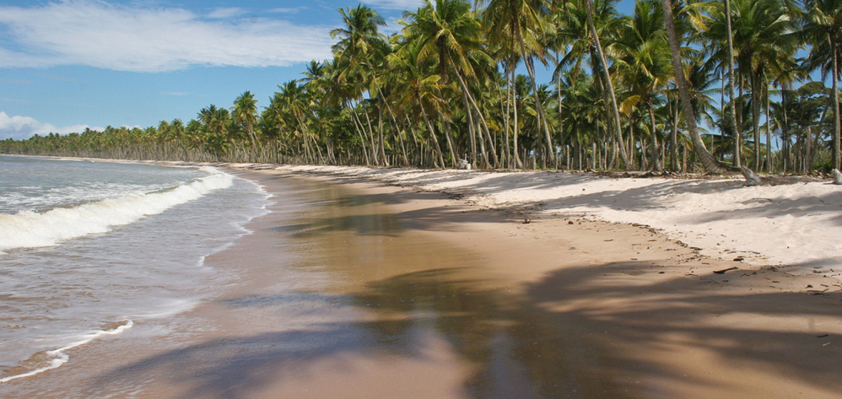 Photo of Bahia