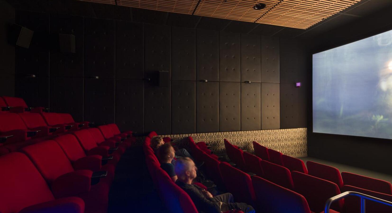 The Cinema Downstairs (Through Excellent Soundproofing)