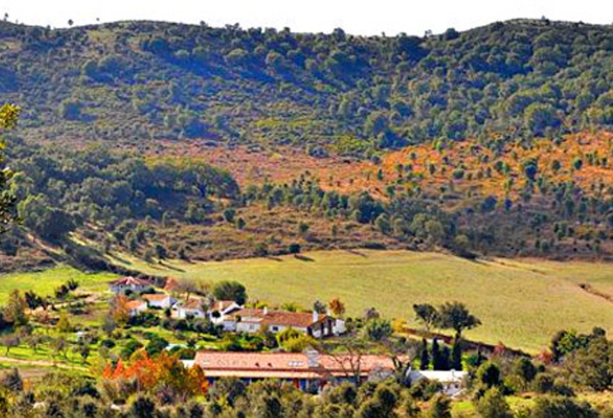 Herdade da Matinha