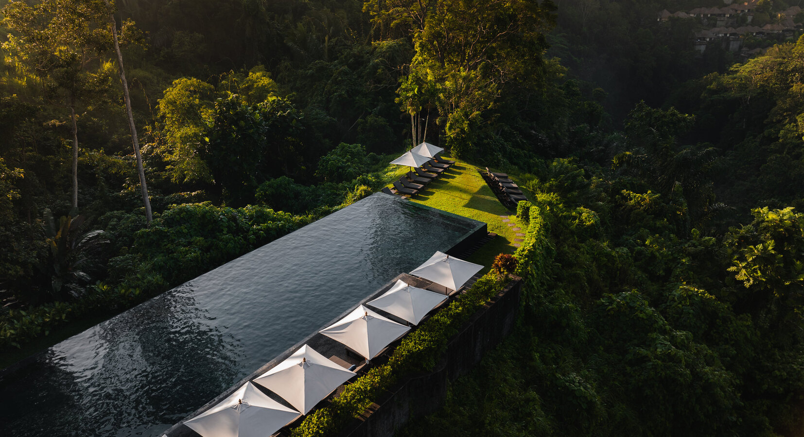 Alila Ubud - Infinity Pool